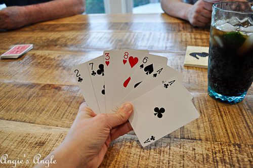 2018 Catch the Moment 365 Week 14 - Day 98 - Vacation Rummy