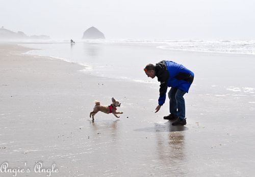 2018 Catch the Moment 365 Week 15 - Day 99 - Roxy and Daddy by the Ocean