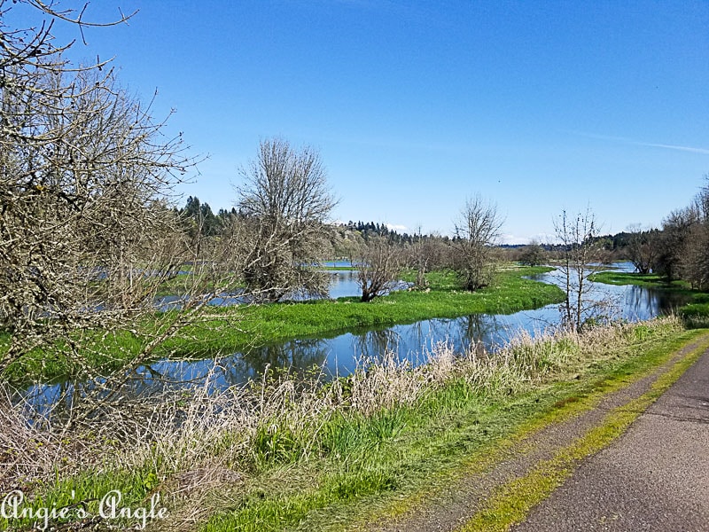 2018 Catch the Moment 365 Week 16 - Day 109 - Salmon Creek Greenway Trail
