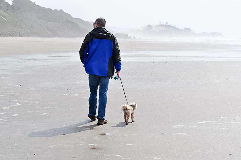 Dog Beats the Afternoon Blahs - Walk