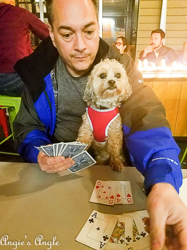 2018 Catch the Moment 365 Week 17 - Day 118 - Rummy at Trap Door Brewing