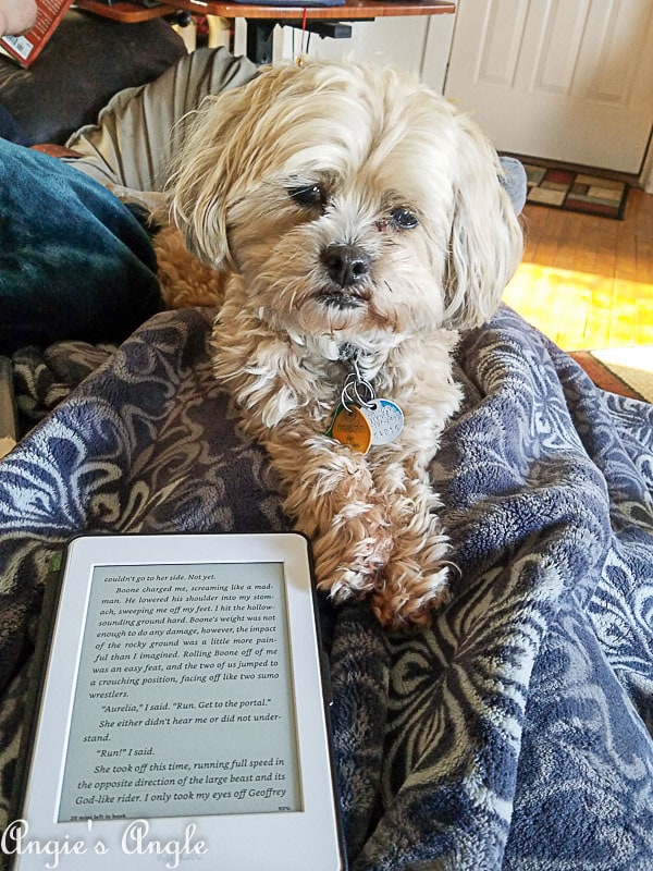 2018 Catch the Moment 365 Week 18 - Day 120 - Finishing Kindle book for April