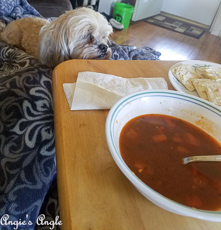 2018 Catch the Moment 365 Week 21 - Day 141 - Soup and Roxy