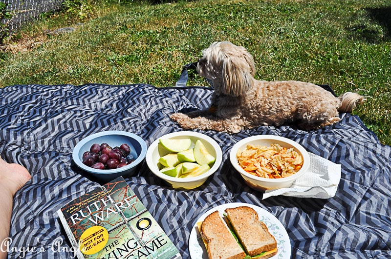 2018 Catch the Moment 365 Week 21 - Day 147 - Roxy and I have a Picnic