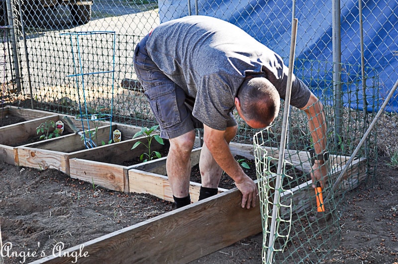 2018 Catch the Moment 365 Week 22 - Day 148 - Garden Boxes