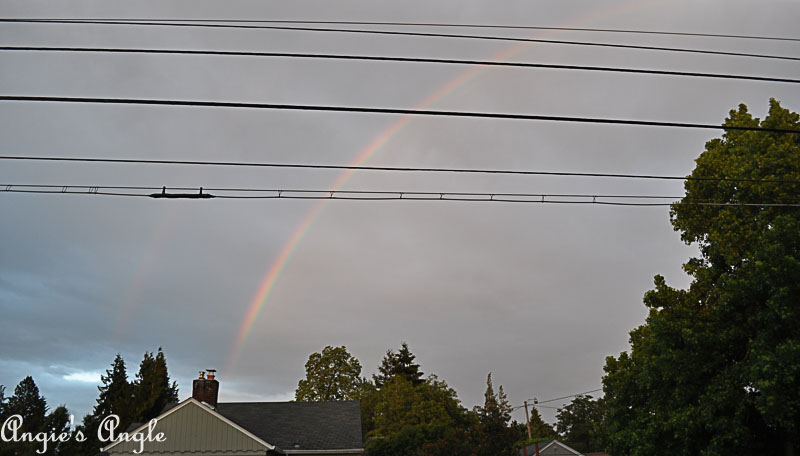 2018 Catch the Moment 365 Week 22 - Day 151 - Rainbow Later