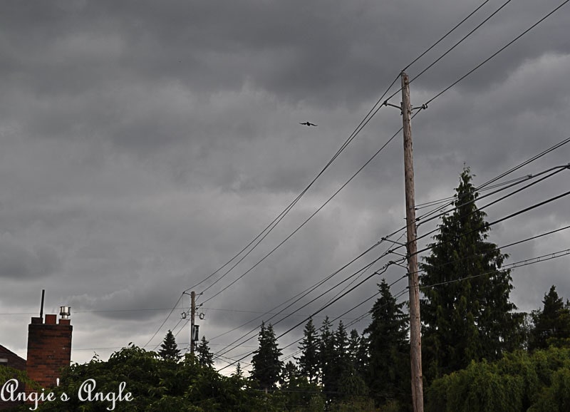 2018 Catch the Moment 365 Week 24 - Day 164 - Morning Storm Clouds