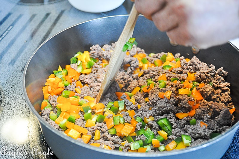 2018 Catch the Moment 365 Week 24 - Day 167 - Taco Meat Recipe Coming