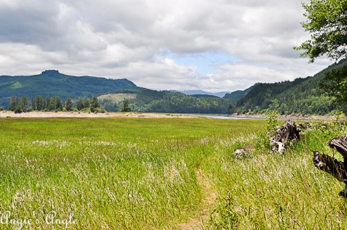 2018 Catch the Moment 365 Week 25 - Day 173 - Taidnapam Camping