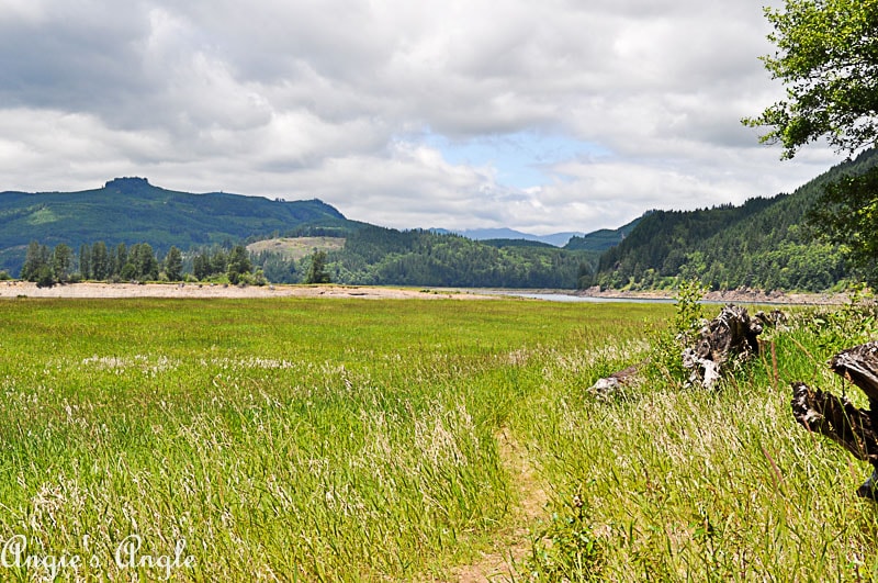 2018 Catch the Moment 365 Week 25 - Day 173 - Taidnapam Camping