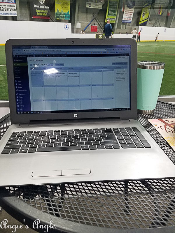 2018 Catch the Moment 365 Week 27 - Day 184 - Working at Soccer