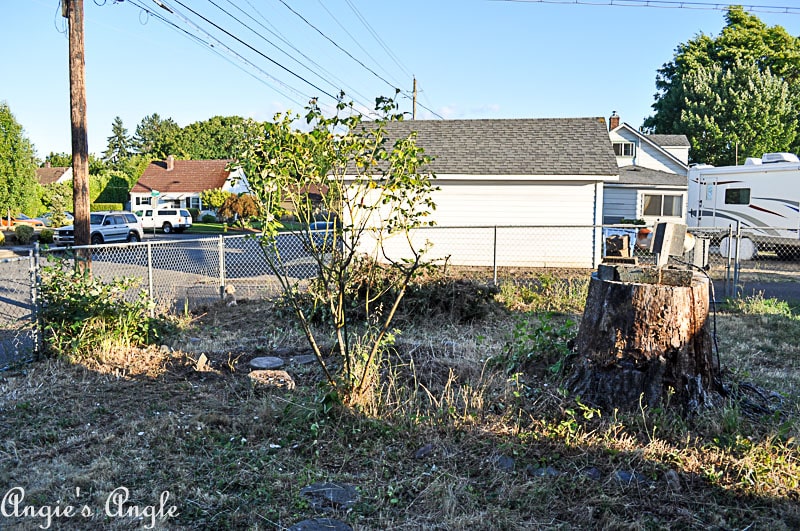 2018 Catch the Moment 365 Week 27 - Day 189 - Progress in the Yard