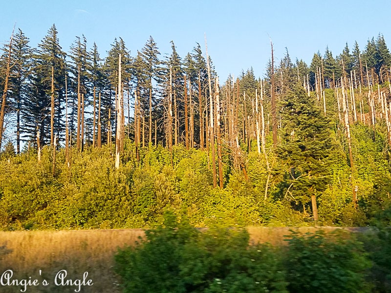 2018 Catch the Moment 365 Week 28 - Day 193 - The Gorge