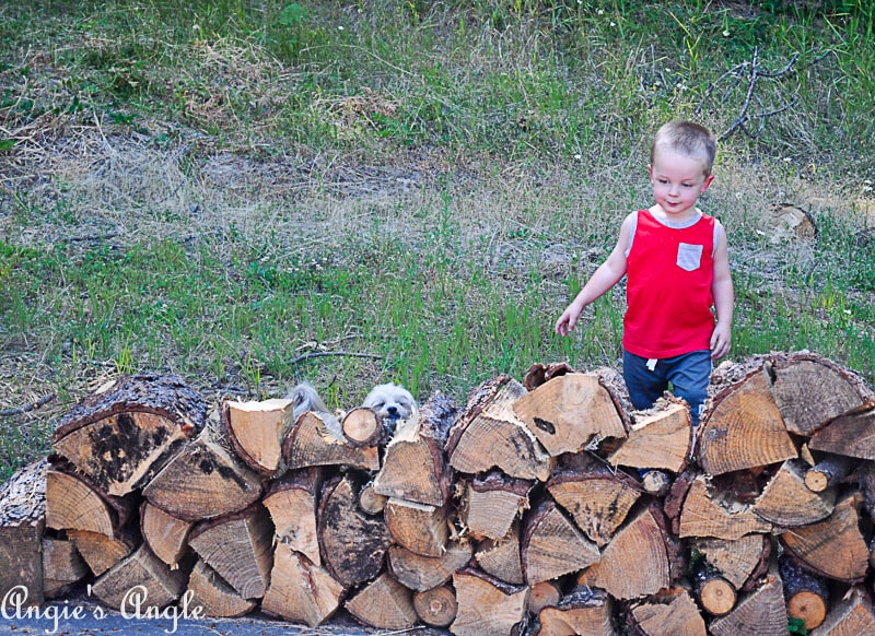 2018 Catch the Moment 365 Week 28 - Day 196 - Roxy and Avery