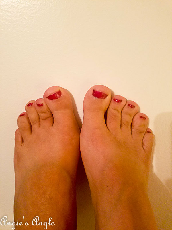 2018 Catch the Moment 365 Week 34 - Day 233 - Red Toes