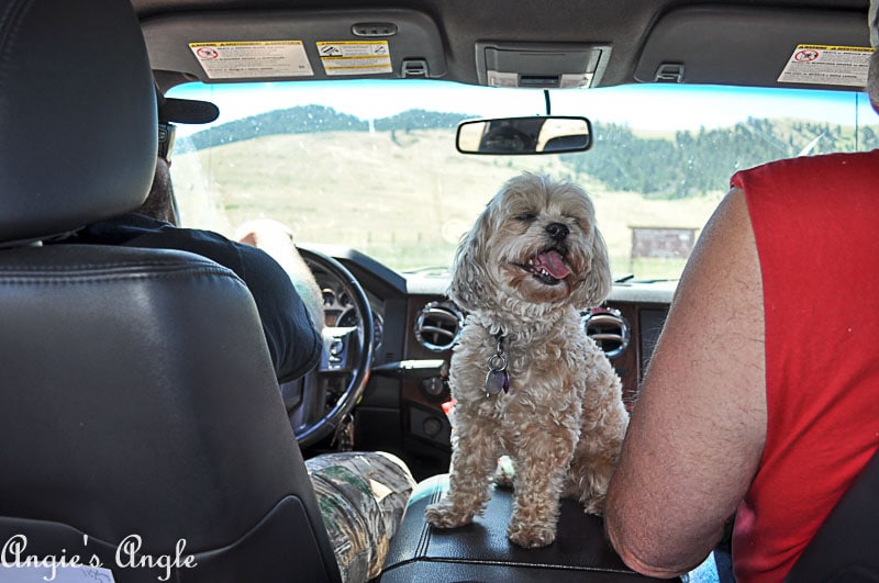Last Hurrah with Ruby the Kia Soul (8 of 23)