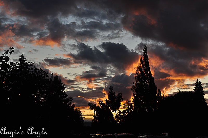 2018 Catch the Moment 365 Week 35 - Day 242 - Wonderful Evening Skies