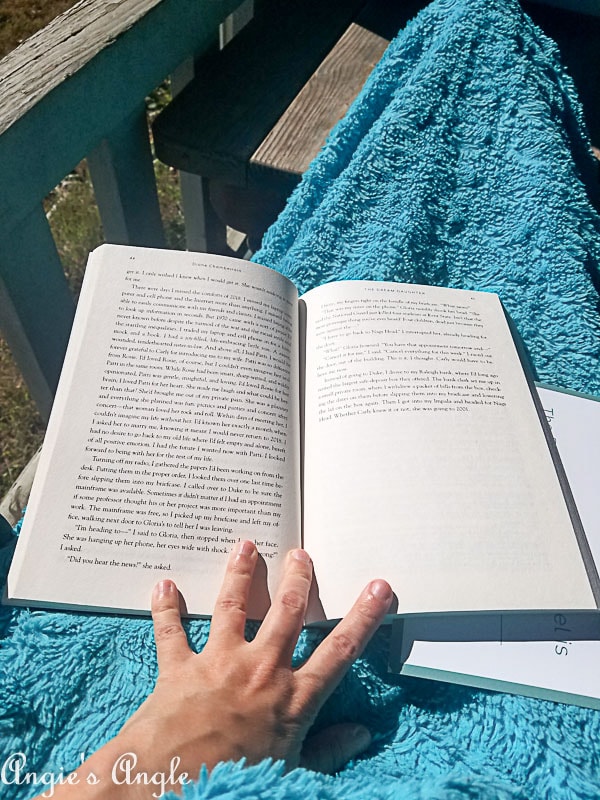 2018 Catch the Moment 365 Week 35 - Day 245 - Sitting in the Sun Spot