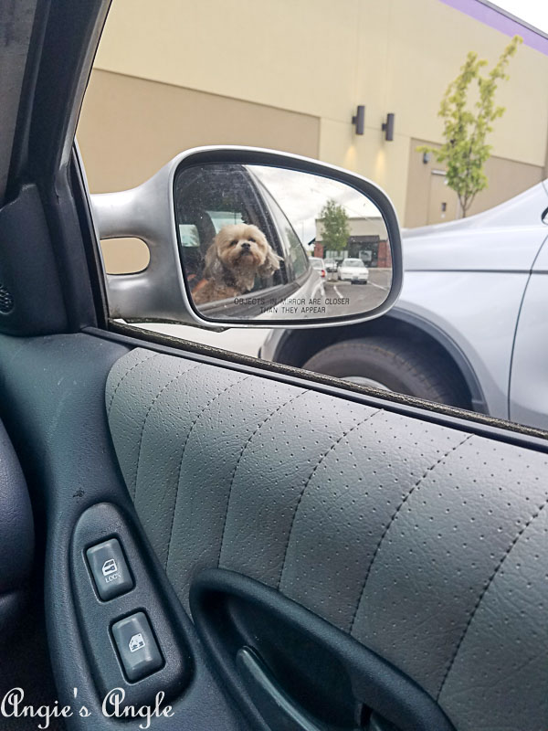 2018 Catch the Moment 365 Week 36 - Day 250 - They See Me Rollin