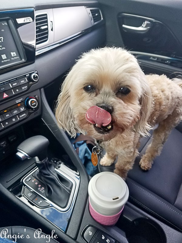 2018 Catch the Moment 365 Week 40 - Day 275 - Tongue Out Tuesday