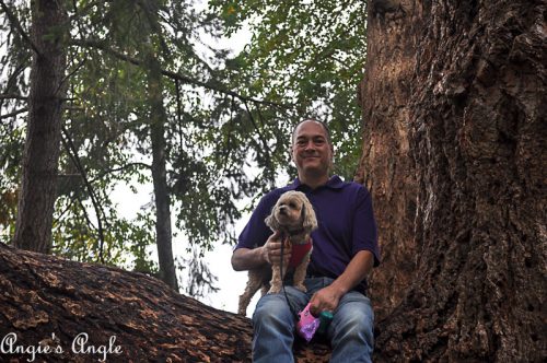 2018 Catch the Moment 365 Week 40 - Day 279 - Jason and Roxy in a Tree