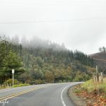 2018 Catch the Moment 365 Week 41 - Day 281 - Hwy 101