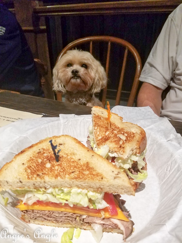 2018 Catch the Moment 365 Week 43 - Day 297 - Roxy at Tap Union Freehouse