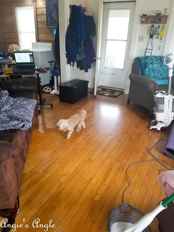 2018 Catch the Moment 365 Week 43 - Day 300 - Deep Cleaning Living Room