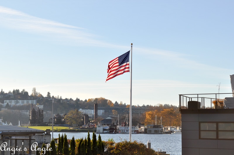 2018 Catch the Moment 365 Week 46 - Day 321 - Flag on Lake Union