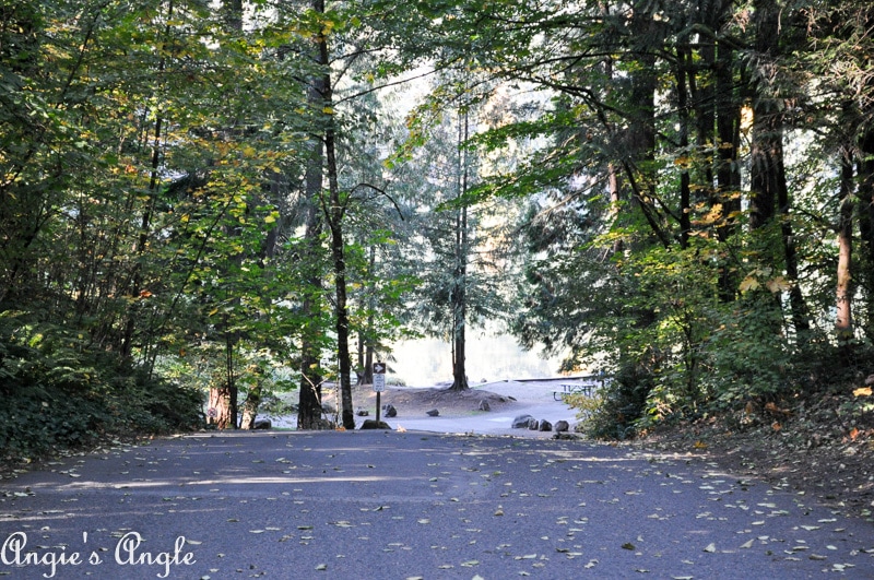 Battle Ground Lake State Park Unique (1 of 44)