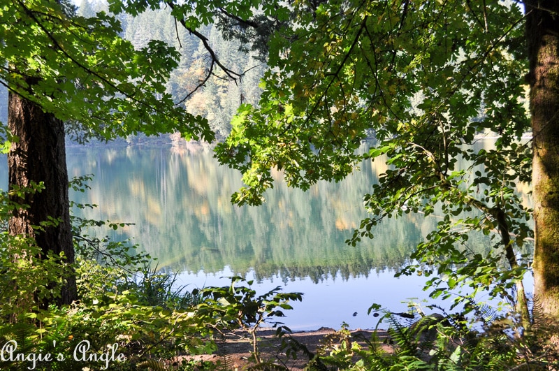 Battle Ground Lake State Park Unique (8 of 44)