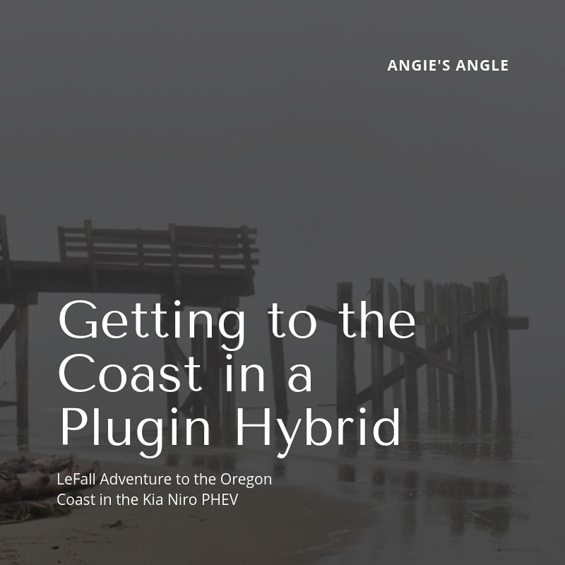 Cost in a Plugin Hybrid - Social