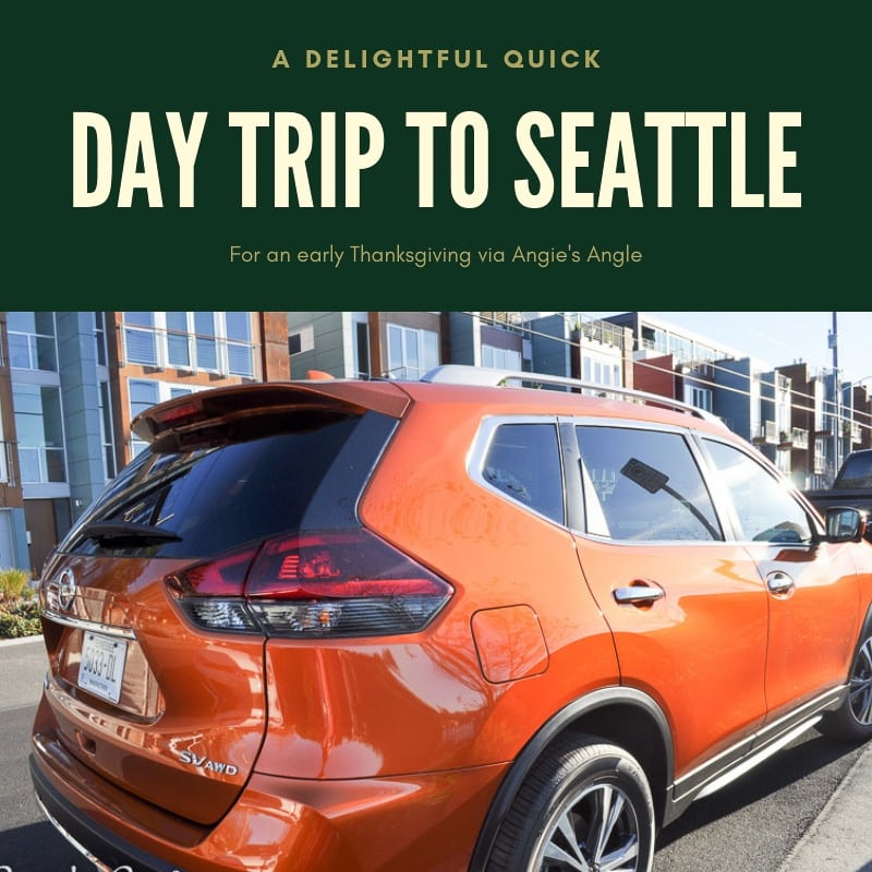Day Trip to Seattle - Social
