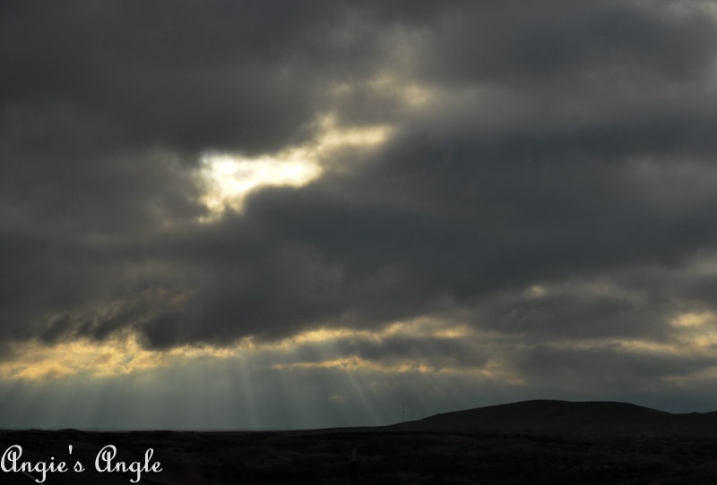 2018 Catch the Moment 365 Week 49 - Day 337 - Sun Rays