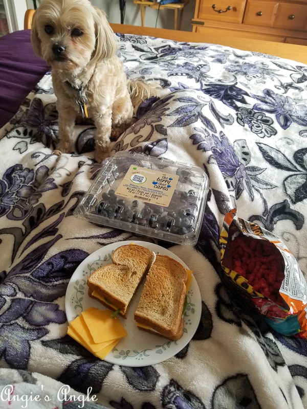 2018 Catch the Moment 365 Week 51 - Day 353 - Bed Lunch