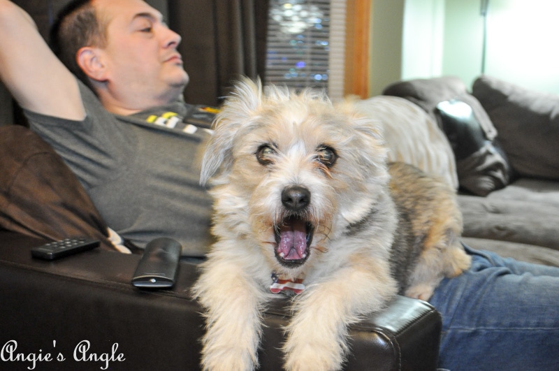 2018 Catch the Moment 365 Week 52 - Day 358 - Sams Oh My Gosh Face