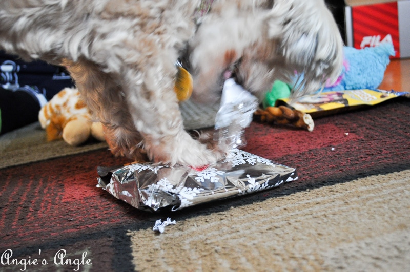 2018 Catch the Moment 365 Week 52 - Day 359 - Roxy Opening Gifts