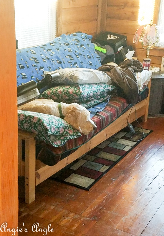 2018 Catch the Moment 365 Week 52 - Day 365 - Turkey Sleeping on Futon