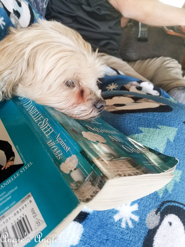 2019 Catch the Moment 365 Week 1 - Day 1 - Roxy and Book