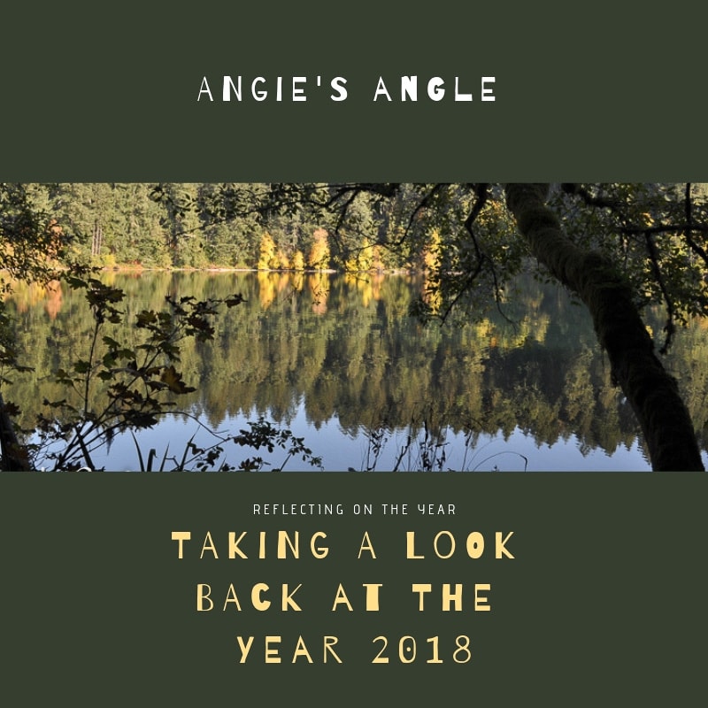 Look Back at the Year 2018 - Social