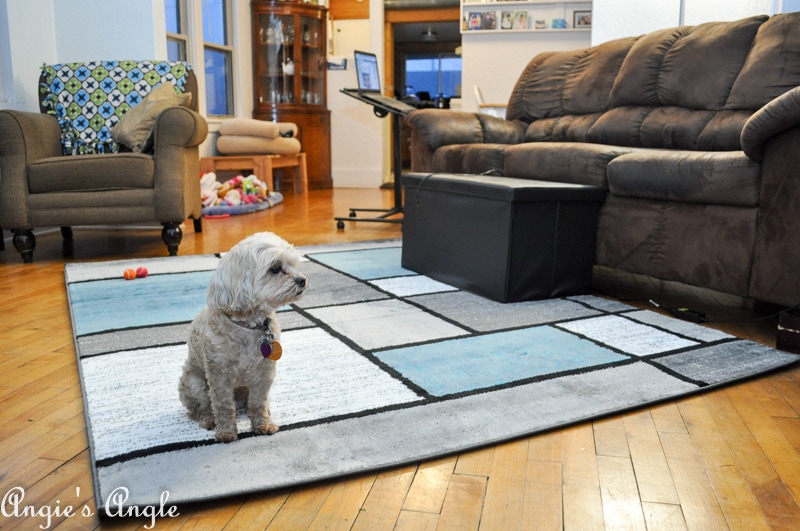 Refresh Your Space - New Rug Roxy Approved