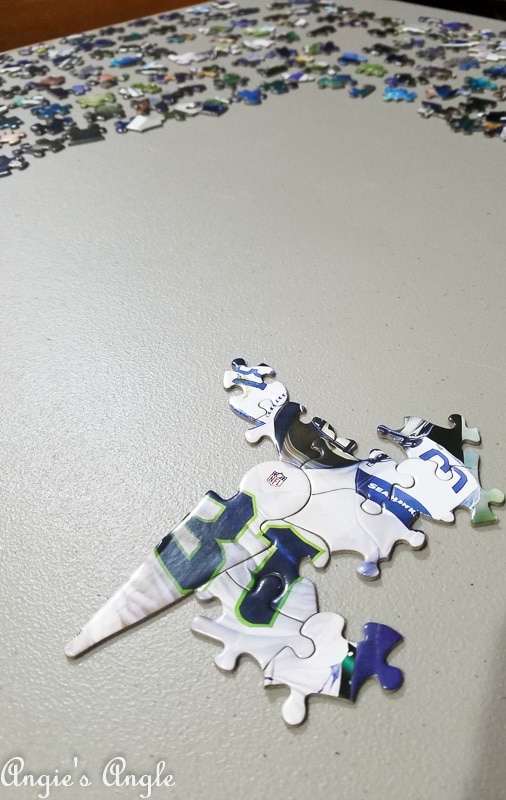 2019 Catch the Moment 365 Week 7 - Day 45 - Seattle Seahawk Helmet Puzzle