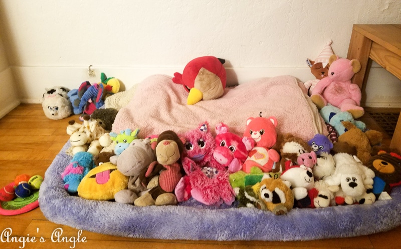 2019 Catch the Moment 365 Week 7 - Day 48 - Roxys Toys
