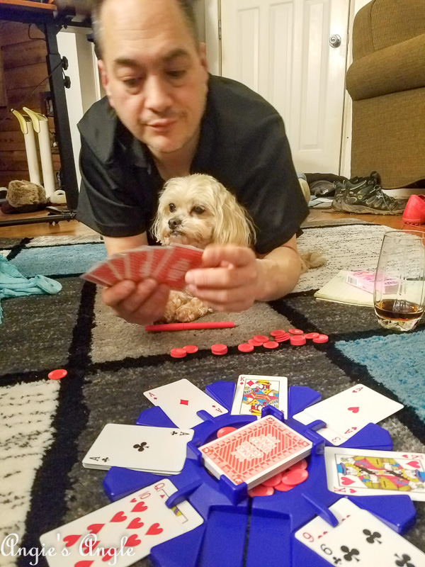 2019 Catch the Moment 365 Week 8 - Day 54 - Roxy Does Game Night