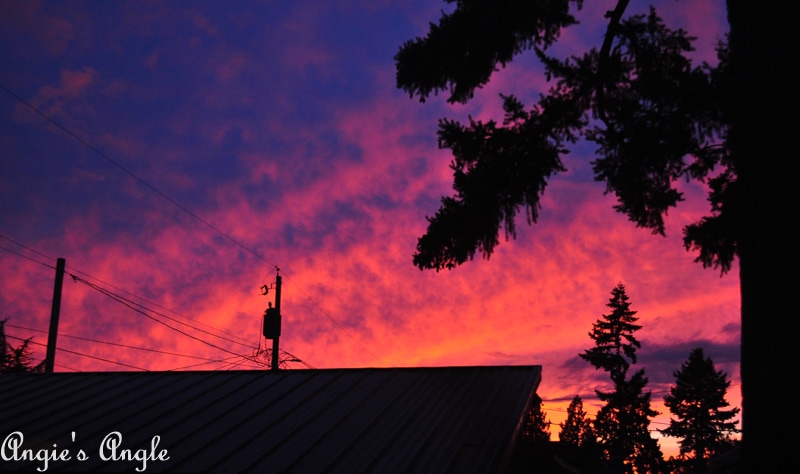 2019 Catch the Moment 365 Week 10 - Day 64 - Cotton Candy Skies