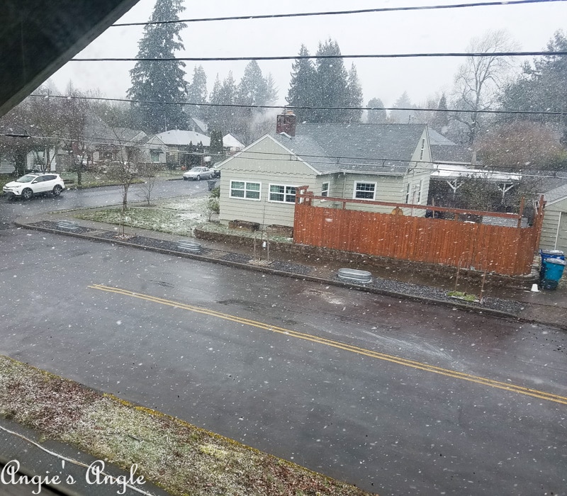 2019 Catch the Moment 365 Week 10 - Day 65 - Snowing