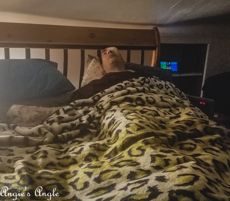 2019 Catch the Moment 365 Week 11 - Day 72 - Tucked In Finally