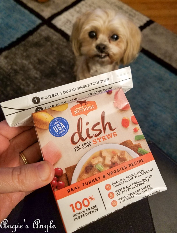 2019 Catch the Moment 365 Week 12 - Day 81 - Roxy Trying Out Rachael Ray Nutrish