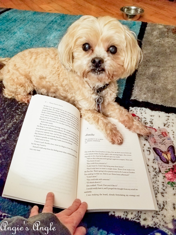 2019 Catch the Moment 365 Week 9 - Day 62 - Roxy Says No to Reading