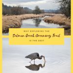 Exploring the Salmon Creek Greenway Trail - Pin